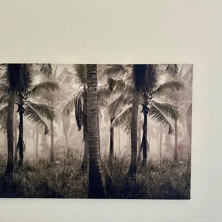 Le Sauvage - 7 Personnes - Gare - Bcla Apartman *